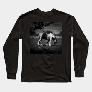 Grazing Black And White Horse Long Sleeve T-Shirt